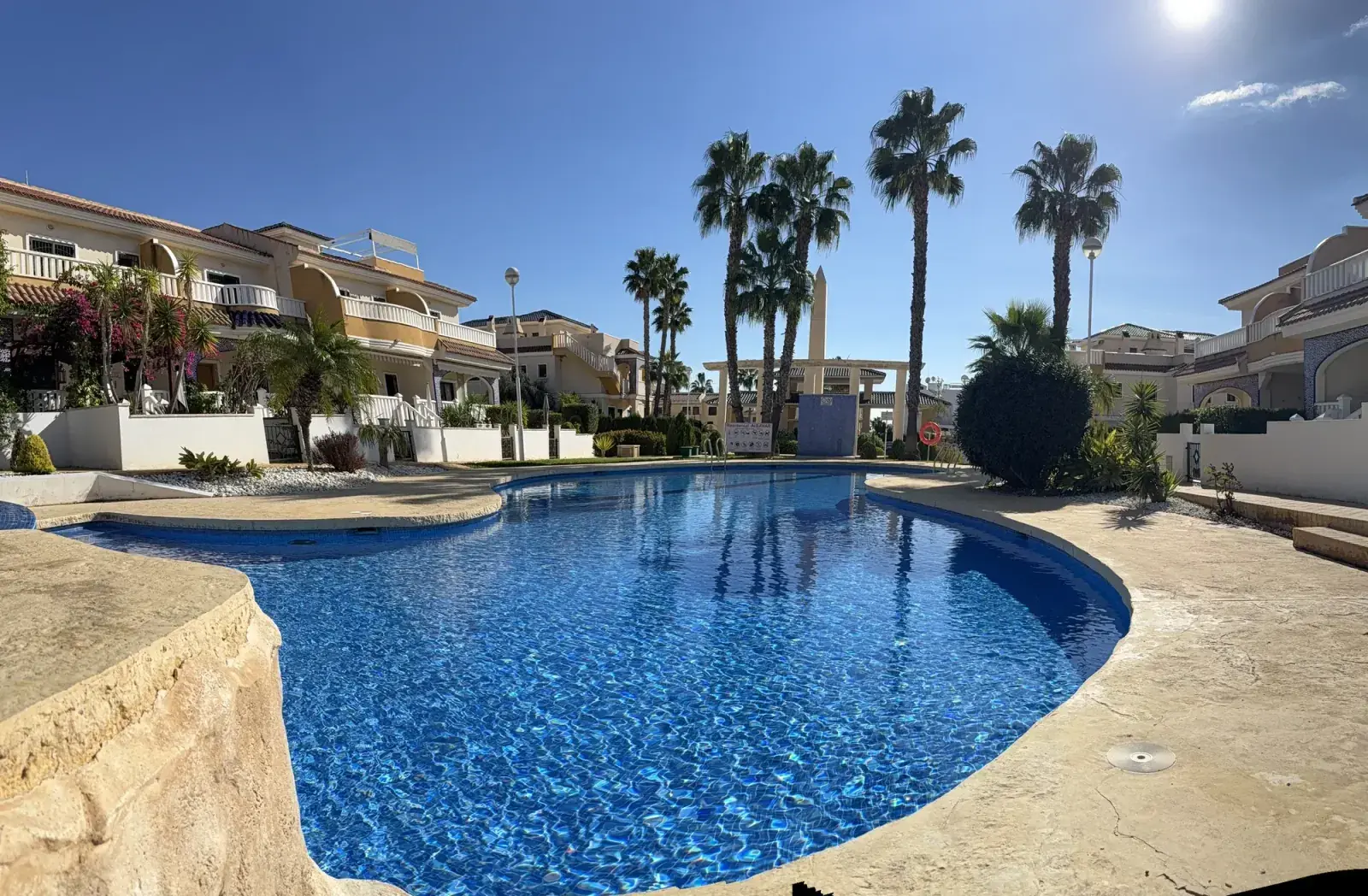 Casa Flamingo - pool with palms
