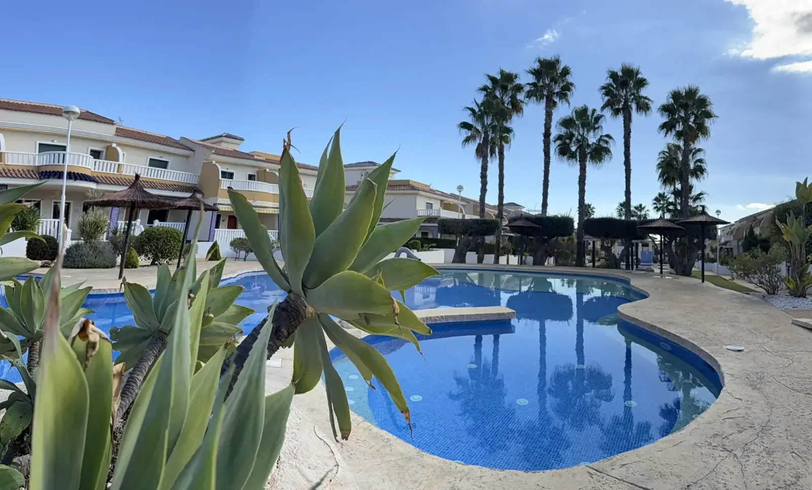 Casa Flamingo - pool with tropical plants