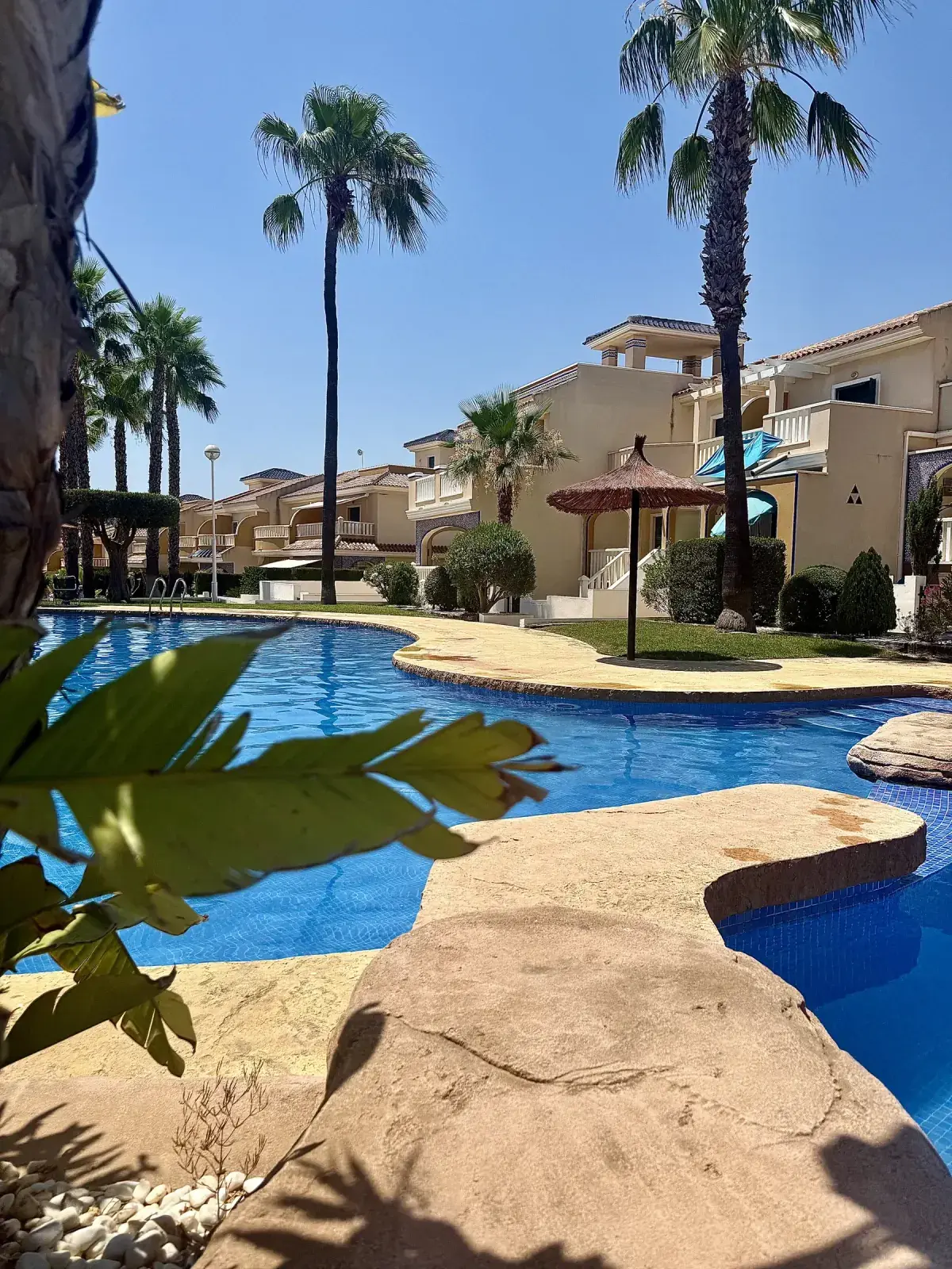 Casa Flamingo - pool by the apartments