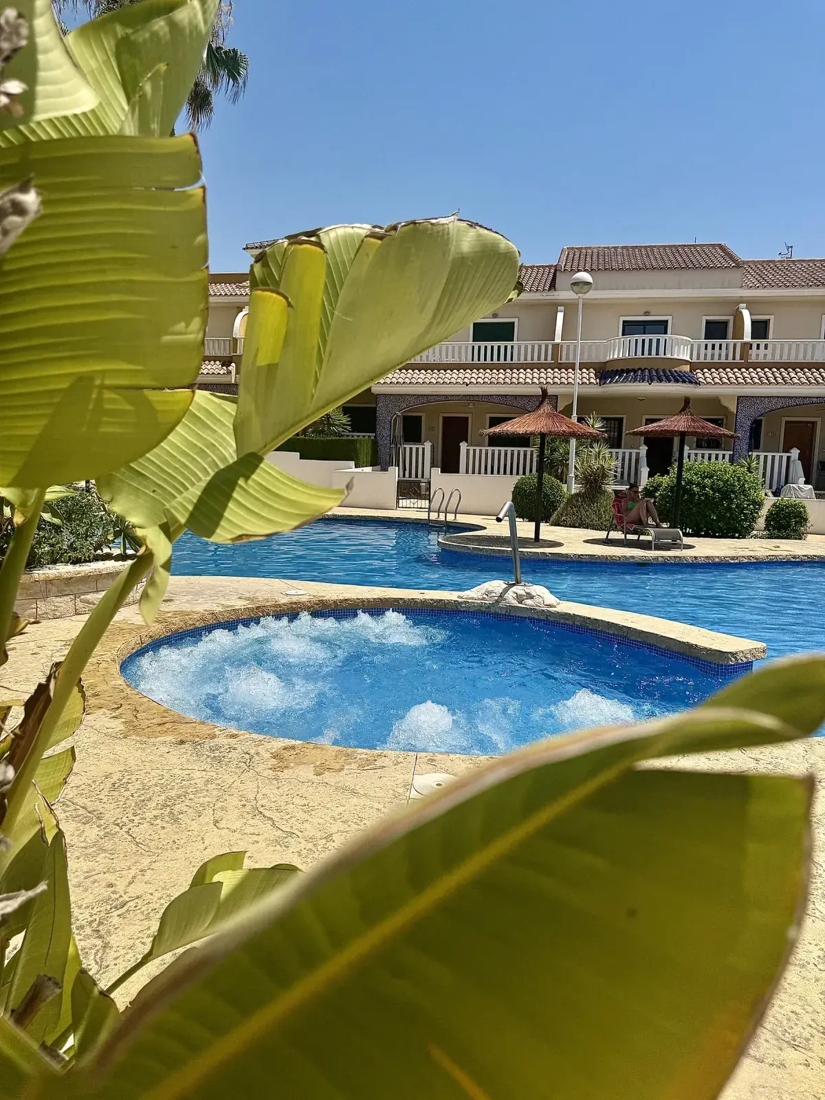 Casa Flamingo - pool on the estate
